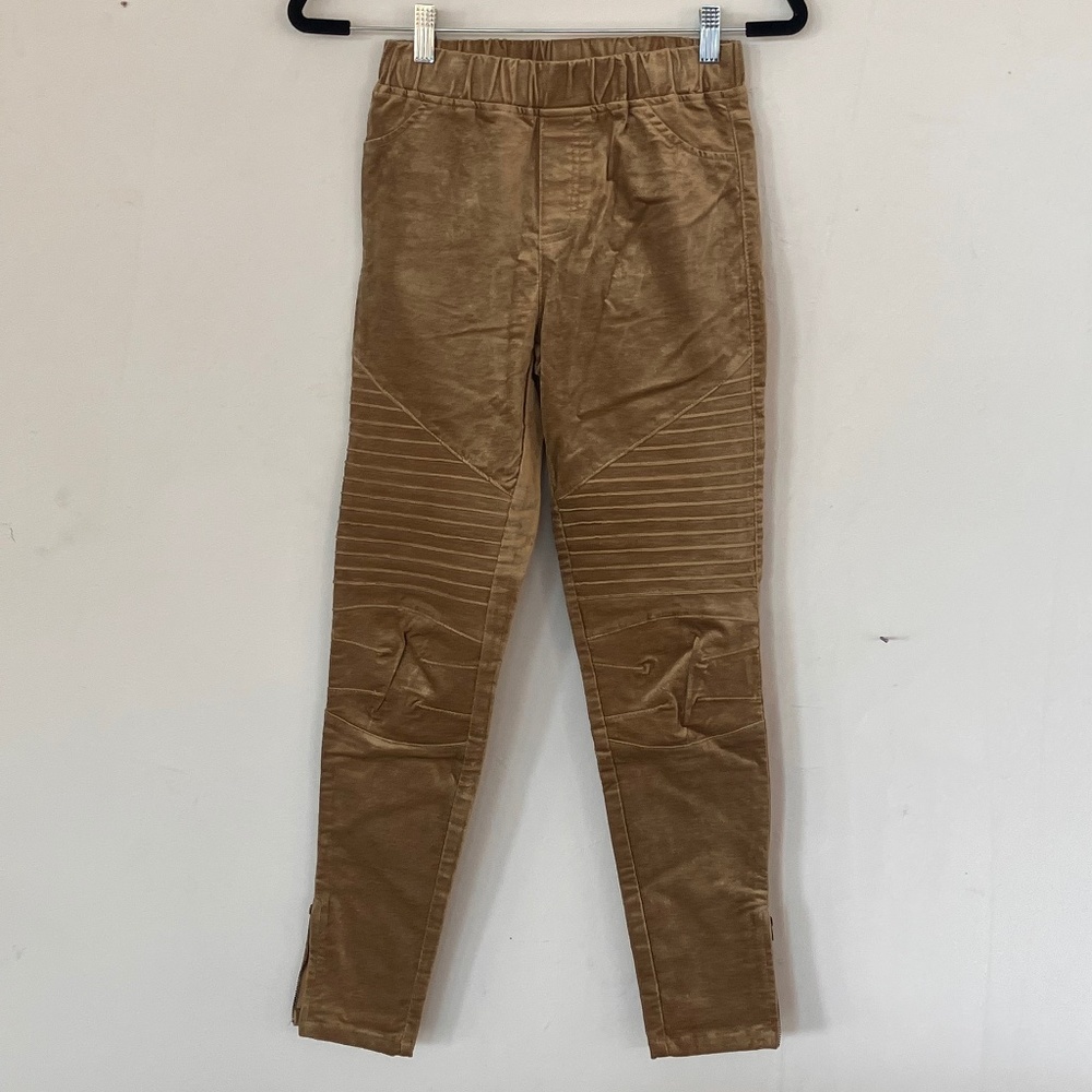 GiGio Blue Heaven Gold velour/velvet, straight, leg pants